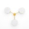 Celeste Epiphany Polished Ceiling Lamp by Design for Macha 4