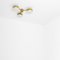 Celeste Epiphany Polished Ceiling Lamp by Design for Macha, Image 2