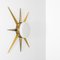 Windrose Solare Collection Polished Wall Lamp by Design for Macha 2