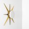 Lampada da parete Windrose Solare Collection Unpolished Lucid di Design per Macha, Immagine 1