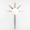 Palm Solare Collection Polished Brushed Wall Lamp by Design for Macha 1