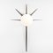 Palm Solare Collection Polished Wall Lamp by Design for Macha 1