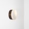 Polierte gebürstete Wandlampe aus der Virgin Solare Collection von Design for Macha 1