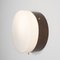 Polierte gebürstete Wandlampe aus der Virgin Solare Collection von Design for Macha 4