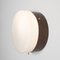 Virgin Solare Collection Polished Brushed Wall Lamp by Design for Macha 4