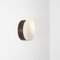 Virgin Solare Collection Unpolished Lucid Wall Lamp by Design for Macha, Image 2