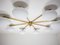 Stella Canopy Blackened Ceiling Lamp in Brass and Opaline Glass by Design for Macha 2