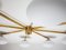 Stella Canopy Ral Colored Ceiling Lamp in Brass and Opaline Glass by Design for Macha 3