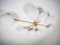Unpolierte Stella Deckenlampe aus Messing und Opalglas von Design für Macha 3