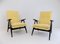 Steiner SK640 Lounge Chairs by Pierre Guariche, 1950s, Set of 2 16