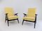 Steiner SK640 Lounge Chairs by Pierre Guariche, 1950s, Set of 2, Image 16