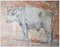 Circle of Paulus Potter, Bull, 1650, Drypoint and Red Chalk 1