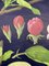 Affiche Scolaire Vintage Carte Murale Scolaire Edler Apple Tree par Jung, Koch & Quentell pour Hagemann, 1970s 5