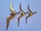 Brass Wall Decor Sculptures of Seagulls, Austria, 1963, Set of 3 12