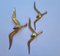 Brass Wall Decor Sculptures of Seagulls, Austria, 1963, Set of 3 8