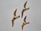 Brass Wall Decor Sculptures of Seagulls, Austria, 1963, Set of 3 7