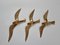 Brass Wall Decor Sculptures of Seagulls, Austria, 1963, Set of 3 3