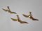 Brass Wall Decor Sculptures of Seagulls, Austria, 1963, Set of 3, Image 11