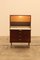 CR Series Bar Cabinet by Cees Braakman for Pastoe, 1960s 2