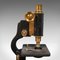 Antikes englisches Mikroskop mit Gehäuse, 1920, 2 . Set 7