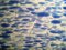Applique Murale en Verre de Murano Bleu par Stefano Toso, 1950s 5