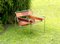 Italian B3 Wassily Chair by Marcel Breuer for Gavina, 1960s 2
