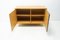 Midcentury U-450 Sideboard von Jiří Jiroutek, 1960er 7