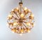 Lampe à Suspension Starburst Pistil Dandelion Ball de Palwa, 1960s 4