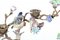 French Ormolu and Porcelain Bird Branch Candelabras, Set of 2, Image 11