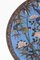 Chinese Decorative Wall Plate with Birds, 1890s 4