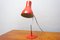 Mid-Century Desk Lamp by Josef Hurka for Napako, 1960s 16