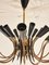 Mid-Century Chandelier 24 Arms in the style of Stilnovo, 1950s 7