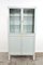 Vintage Medical Cabinet in Iron and Glass, 1950s 1