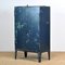 Industrial Iron Cabinet, 1960s 1