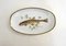 Fish Illustrated Service Dish in Porcelain from Arzberg, 1960s 9