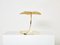 Brass Rhubarb Table Lamp by Tommaso Barbi for Bottega Gadda, 1970s 7