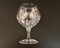 Bicchieri da cognac Fleurie Series di Nachtmann, Germania, anni '80, set di 6, Immagine 7