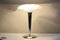 Mid-Century Table Lamps in Chrome-Plated Steel & Milk Glass, Germany, 1950s, Set of 2, Image 7