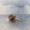 Carl Rosen, Paesaggio del Mar Baltico, Inizio XX secolo, Olio su tela, Con cornice, Immagine 3