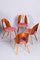 Mid-Century Czech Beech & Walnut Dining Chairs attributed to Antonín Šuman, 1950s, Set of 4 5
