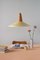 Eikon Shell Pendant Lamp in Wax and Oak from Schneid Studio 3