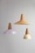 Lámpara colgante Eikon Shell en blanco y nogal de Schneid Studio, Imagen 3