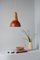 Eikon Basic Amber Pendant Lamp in Walnut from Schneid Studio, Image 2