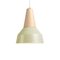 Eikon Basic Pistache Pendant Lamp in Ash from Schneid Studio 1