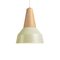 Eikon Basic Pistache Pendant Lamp in Oak from Schneid Studio 1