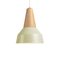 Eikon Basic Pistache Pendant Lamp in Oak from Schneid Studio, Image 1