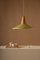 Eikon Shell Pendant Lamp in Olive and Oak from Schneid Studio 2