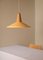 Eikon Shell Pendant Lamp in Peach Sherbet and Ash from Schneid Studio 2