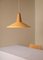 Eikon Shell Pendant Lamp in Peach Sherbet and Ash from Schneid Studio, Image 2