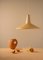 Eikon Shell Pendant Lamp in Peach Sherbet and Ash from Schneid Studio 3